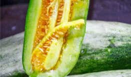 吃瓜爆料网红最新免费,吃瓜爆料最新免费资讯大盘点