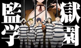 动漫肉番在线观看,在线观看的动漫激情之旅